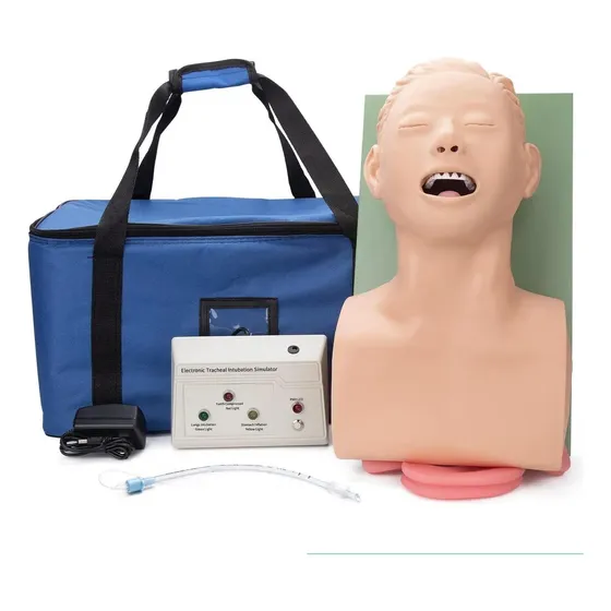 Modelo De Maniquí De Intubación Para Adultos