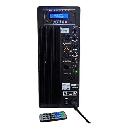 Modulo De Potencia Con Usb Y Bt Para Bafle Wild15a Amp250wup Negro 250 W