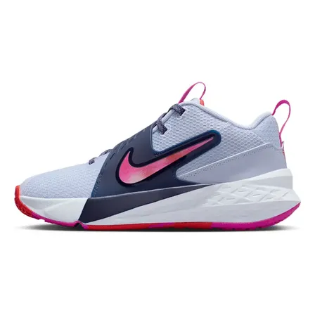 Zapatillas Nike Team Hustle D 12 Para Niños Gris 005