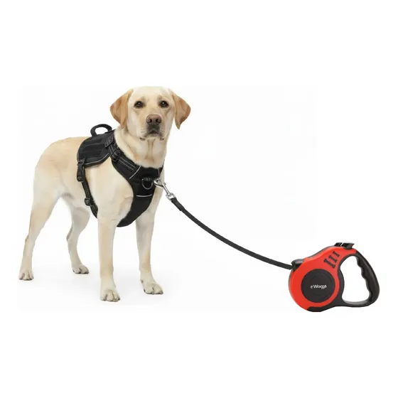 Combo Correa Retráctil M + Arnés Táctico Waggs Paseo Perro