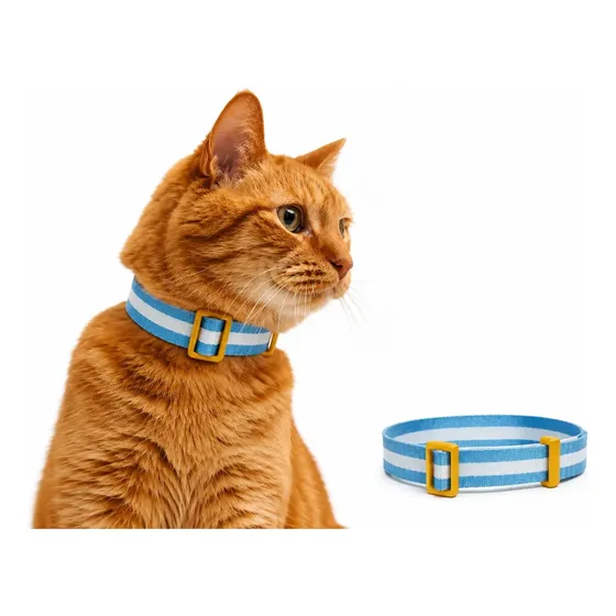 Collar Antiahorque Gato Elastizado Solo Edición Limitada Arg
