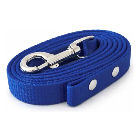 Correa Para Perro Paseo 3 Metros Resistente Colores Azul