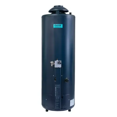 Termotanque Eskabe Alta Recuperación Acquapiu Hybrid4 H 1100 Color Gas Natural