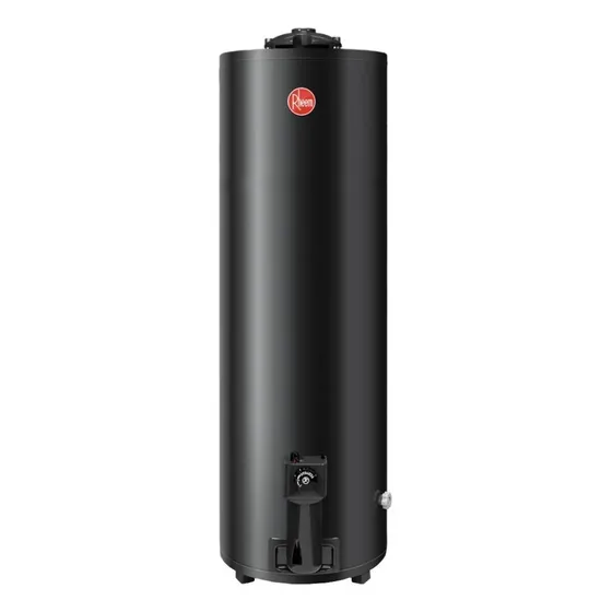 Termotanque A Gas Natural De Pie 150 Lts Tgnp150rh Rheem Mm Color Gris oscuro