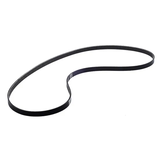 Correa Poli V Gm 94702060