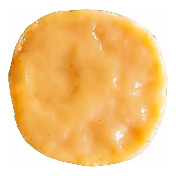 Scoby De Kombucha Fermentación Casera Natural