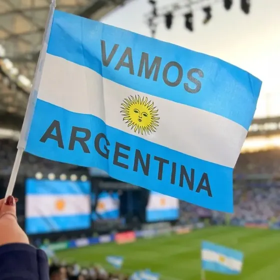 Bandera Pack X10 De Argentina Para Mano Mundial