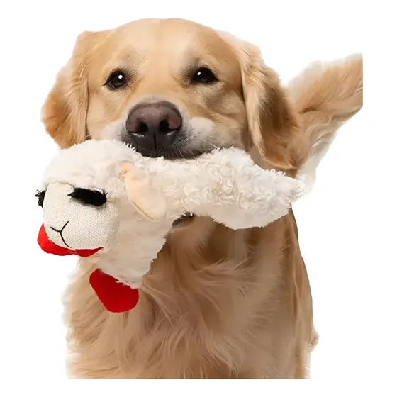 Juguete Peluche Oveja Mascota Sonido Chifle Resistente Perro