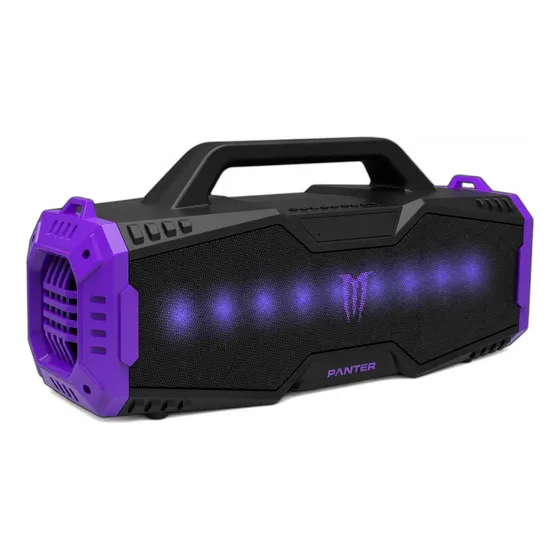 Parlante Bluetooth Portatíl Iluminación Rgb | Panter Pbb03