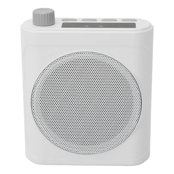 Amplificador De Voz Recargable 15w Inalámbrico