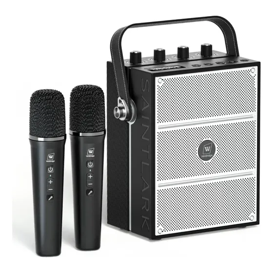 Amplificador De Voz 100w Responsebridge S99 2 Microfonos Negro