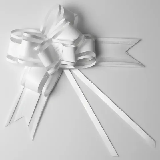 Moños Mágicos De Organza 48cm X25 Uni, Importados Colores