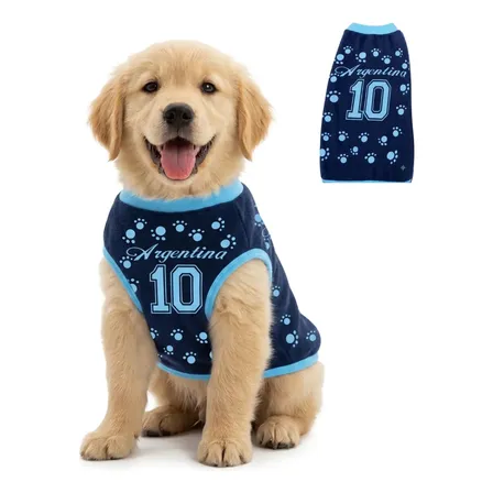 Ropa Polar Abrigo Mascotas Perro Argentina Talles 1 Al 12 Talle 6 Argentina Celeste