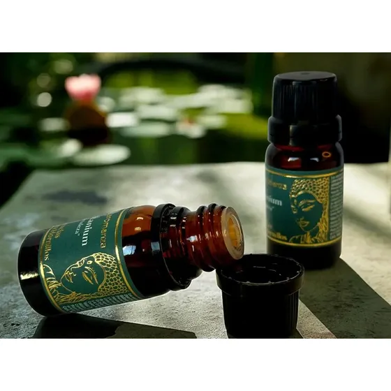 12 Aceites Esencias Aromáticas Con Gotero Para Hornitos
