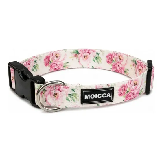 Collar Reforzado Identificatorio Para Perros Moicca Mascotas