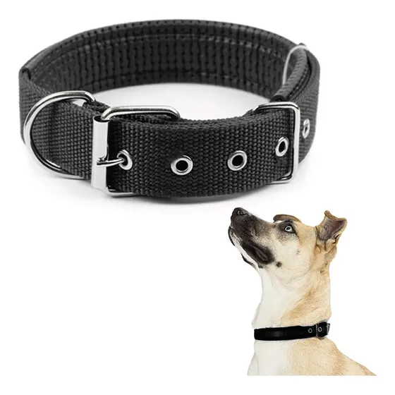 Collar Ajustable Mascota Perro Paseo Regulable Resistente Color Negro Tamaño Del Collar L Raitot
