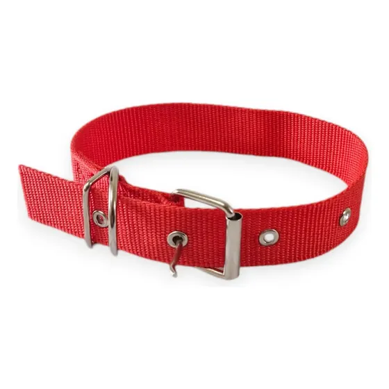 Collar Para Perros Ajustable Resistente Hebilla Metálica