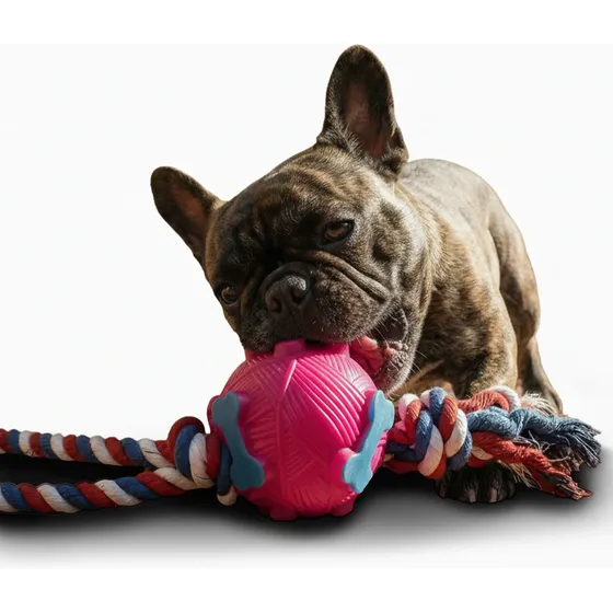 Juguete Para Perros Pelota Con Soga De Goma Mordillo