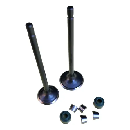 Kit Válvulas Completo / Para Corven Triax 150 / Antares