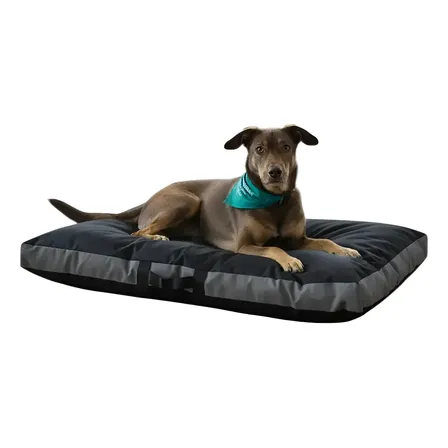 Colchon Cama Perros Anti Desgarro Premium Negro Rectangular