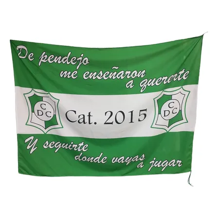 Bandera Personalizada 100x150 Cm Con Tiras Para Colgar Sublimado