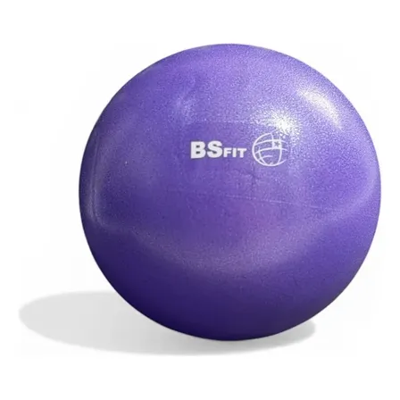 Pelota Yoga Esferodinamia Suiza 25 Cm Importada Gym Ball