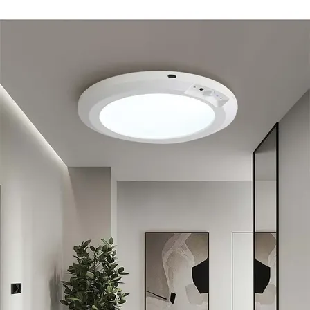 Luz Led Recargable Sensor Movimiento Ropero White