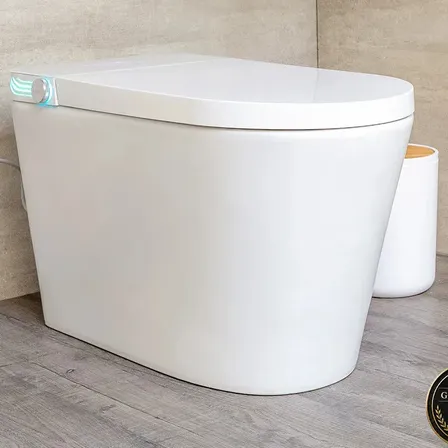 Inodoro Inteligente Euromaglia One Piece Bidet Ajustable