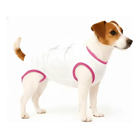 Bata Post-quirurgico P/ Perros Y Gatos Varios Talles Xxl Hembra