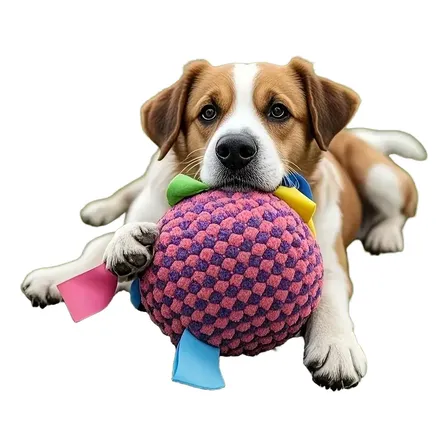 Pelota Mordedera Para Perro Con Cascabel Rose Red