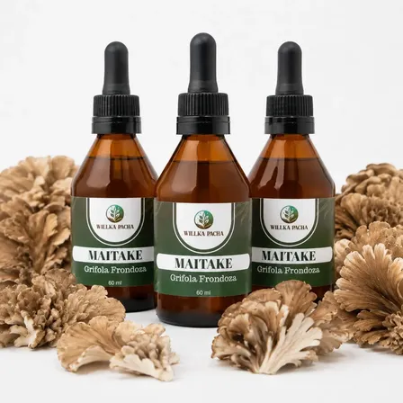 Maitake Doble Extracto 1:10 Pack X3 60 Ml | Adaptógeno Her