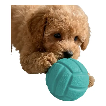 Juguete Para Perros Gato 7,5cm Pelota Goma Mordillo Mascota Turquesa