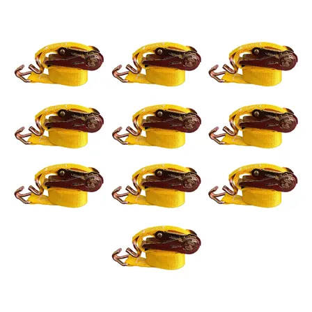 Kit X10 Cinta Amarre Criquet Traca 25mm X 3,60m Carga 800kg Amarillo