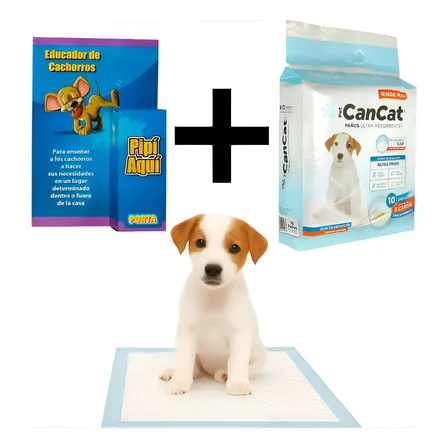 Combo Educador Pipí Aquí + Paños Cancat Entrenamiento X 10 Celeste