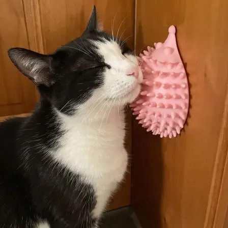 Rascador Para Gatos Erizo Rosa