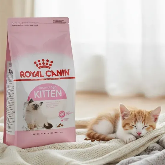 Royal Canin Kitten 1,5 Kg Gatitos