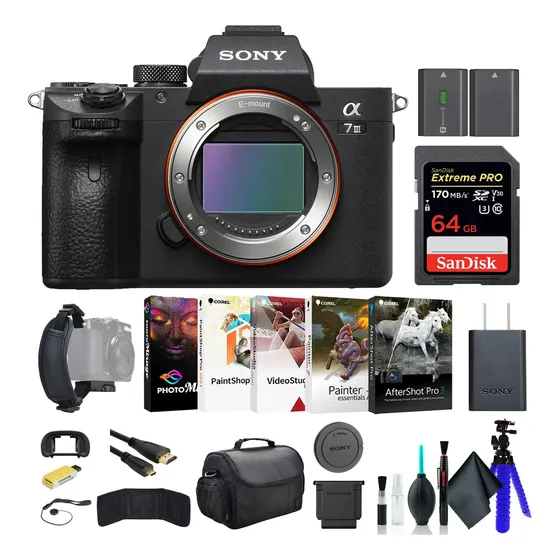 Cámara Sin Espejo Sony A7 Iii Ilce7m3/b Con Tarjeta De Memor
