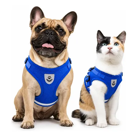 Pretal Arnés Reflectivo Para Perros Y Gatos Con Correa 1,2m Azul S