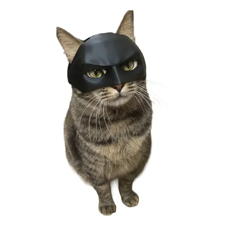 Máscara Para Gatos Batman Bat Cat Disfraz Viral Tiktok Negro