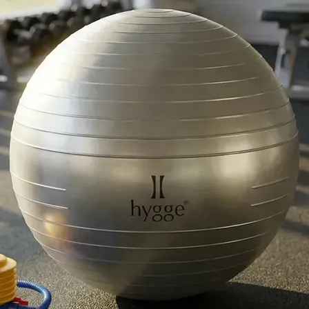 Pelota Esferodinamia 65cm Fitness Pilates Yoga Con Inflador Pelota Suiza Ejercicio Equilibrio Rehabilitacion Fisioterapia Antiexplosion Gimnasio Hogar Plateado