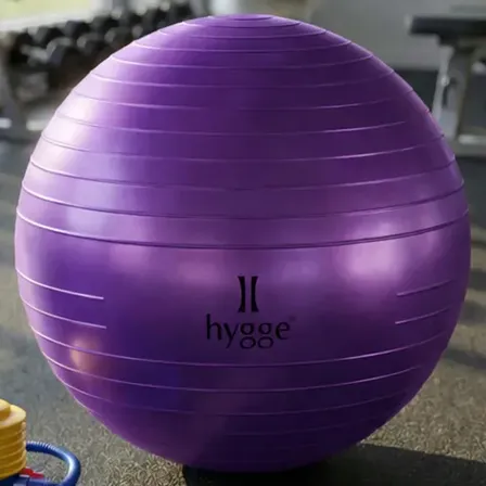 Pelota Esferodinamia 65cm Fitness Pilates Yoga Con Inflador Pelota Suiza Ejercicio Equilibrio Rehabilitacion Fisioterapia Antiexplosion Gimnasio Hogar Violeta