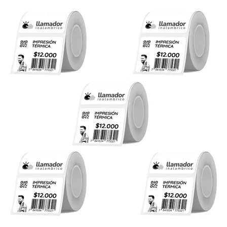 Etiquetas Rollo Rotuladora Impresora Termica 30x15mm X5u Blanco
