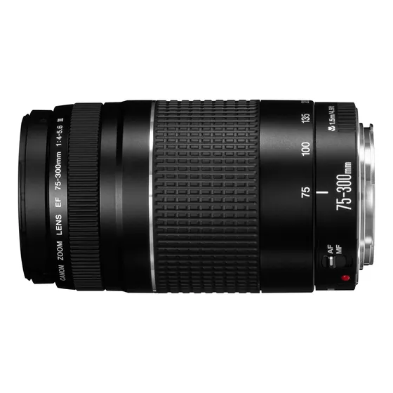 Lente Teleobjetivo Canon Ef 75-300mm F/4-56 Iii Arri Standard Negro