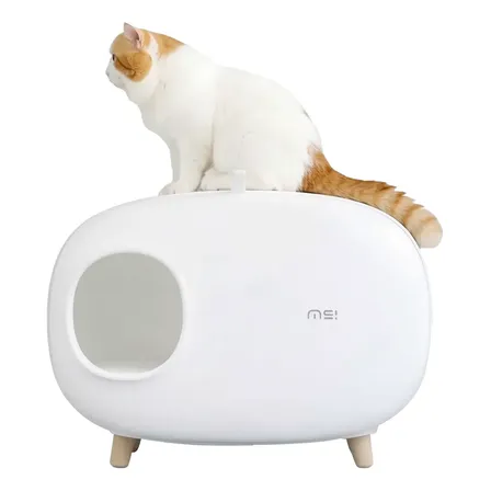 Litera Para Gatos Caja De Arena Decoración Baño Sin Olor Blanco