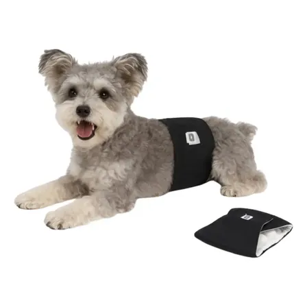 Pañal De Perros Boss Reutilizable Talle S Marca Laus Color Negro Talle Small