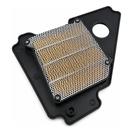 Filtro Aire Yamaha Ybr 125 Compatible Con Ybr Factor Coyote