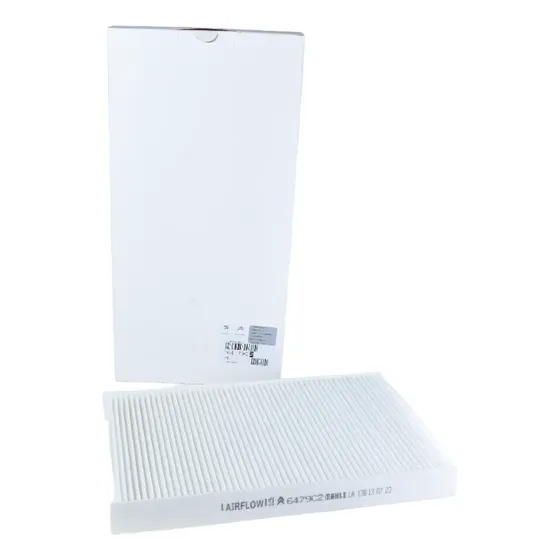 Filtro Antipolen Peugeot 308 408 307 Original 6479c2