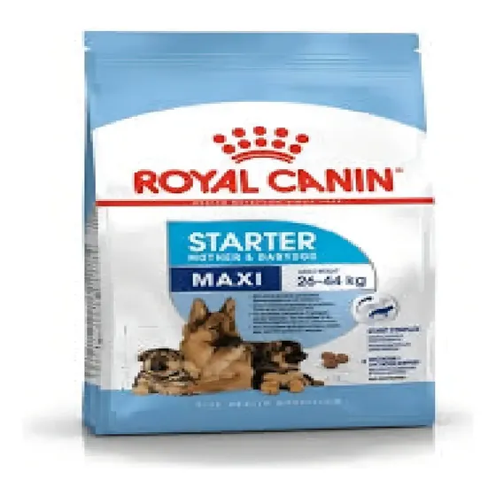 Royal Canin Maxi Starter X 10kg