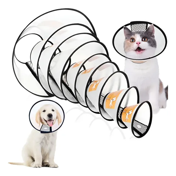 Collar Isabelino Perros Gatos Cuidado Veterinario Mascotas